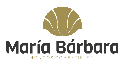 María Bárbara Hongos