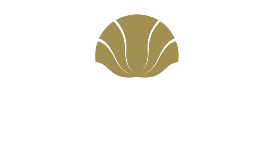 María Bárbara Hongos